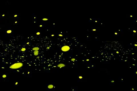 Firefly, lightning bugs on black background Stock Photos