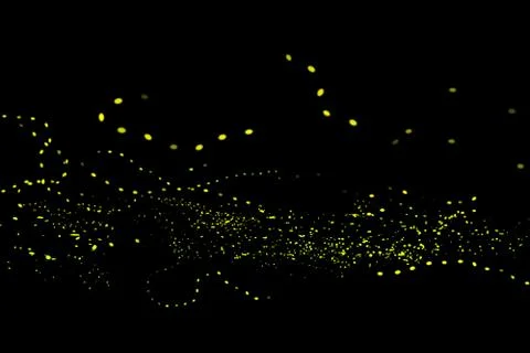 Firefly, lightning bugs on black background Stock Photos