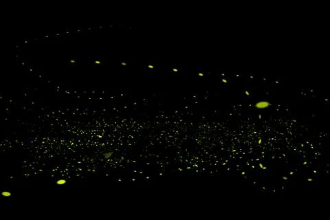 Firefly, lightning bugs on black background Stock Photos