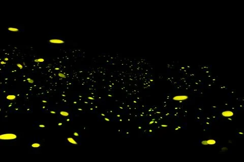 Firefly, lightning bugs on black background Stock Photos