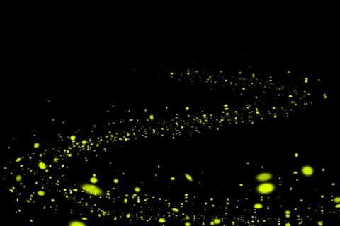 Firefly, lightning bugs on black background Stock Photos