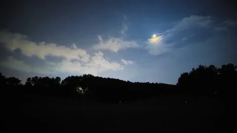 Firefly Lightning Bugs Flying on a Moon Lit Night in a Field Stock Footage 96751406