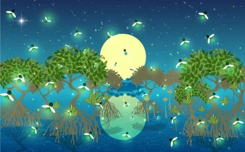 Firefly at mangrove forest in the night Stock Illustration