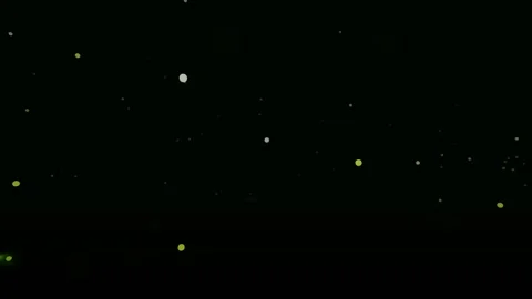 Firefly Meadow Night 4K Stock Footage 338383487