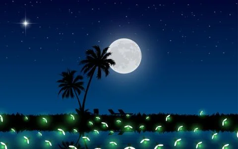 Firefly at the swamp on mountain in the full moon night Stock Illustration
