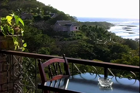 Firefly View Stock Footage 817567