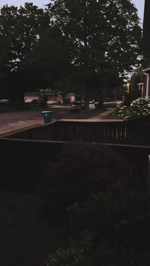 Fireflys Stock Footage 279519879