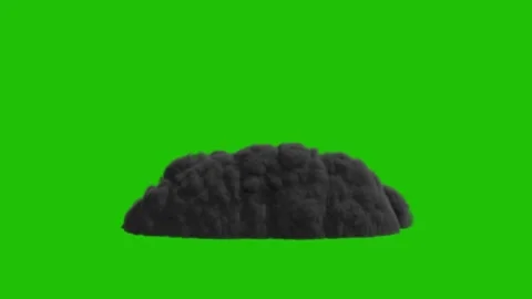 FireGreenScreenFront Stock Footage 201486907