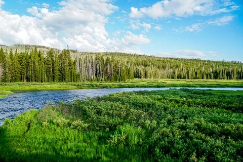 Firehole River Stock Photos