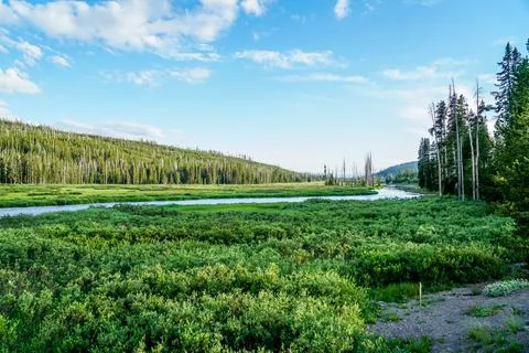 Firehole River Stock Photos