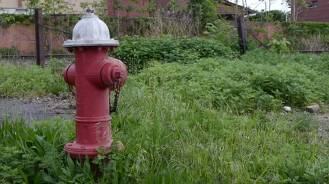 FireHydrant01 Video stock 5163202