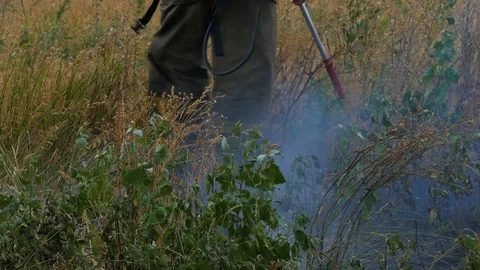A fireman extinguishes field Stock Footage 87022798