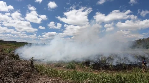 Fireman Extinguishing Fire in a Grassland Stock Footage 218254546