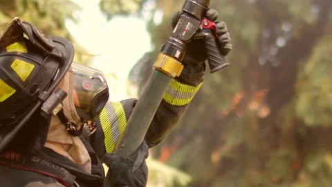Fireman Spraying Trees 動画素材 197446604