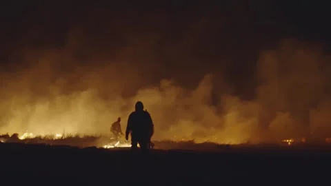 Fireman team extinguish large bushfire fire in field, slow motion Stock Footage 268438047
