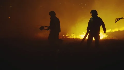Fireman using water and extinguisher to fighting with bushfire fire flame in  스톡 동영상 310335681