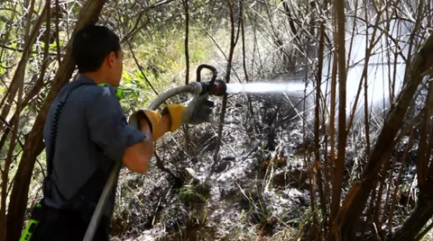 Fireman at work Видео 39469732