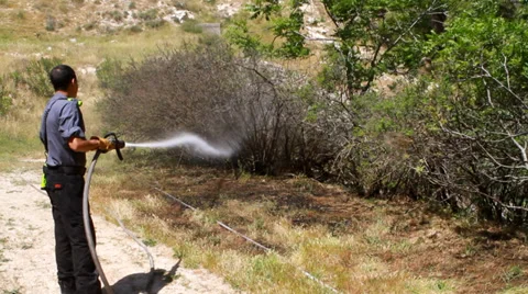 Fireman at work Видео 39471497
