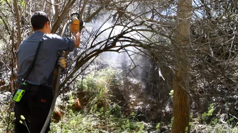 Fireman at work 스톡 동영상 39472930