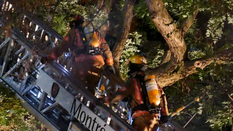 Firemen escalading ladder during building fire Stock Footage 116079817