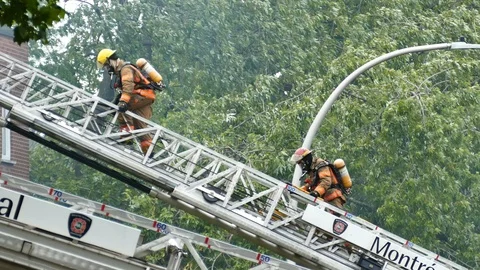 Firemen escalading ladder with tree Stock Footage 114809961