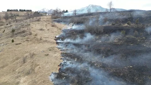 Firemen extinguish a fire. Burning field Stock Footage 271360520