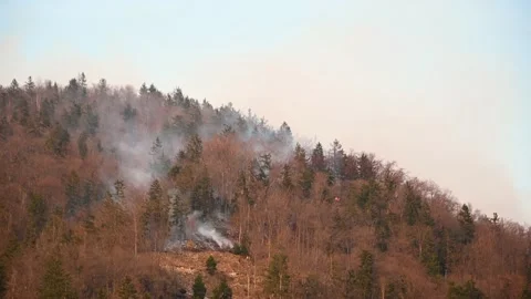Firemen extinguish huge wildfire in the mountains Stock Footage 188712117