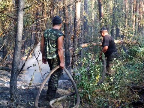 Firemen fighting a bushfire Stock Photos