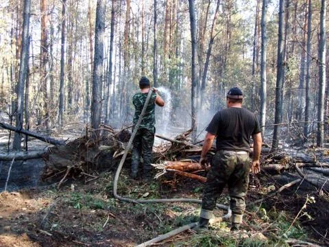 Firemen fighting a bushfire Stock Photos