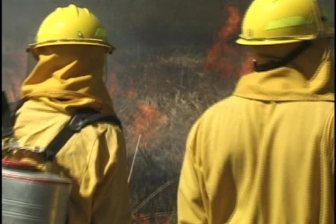 Firemen at Forest Fire Stock-Footage 297509