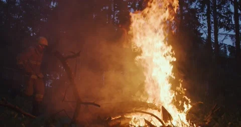 Firemen jumping over fire in dense forest, fire fighter with safety equipment Stock Footage 147147078