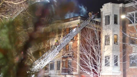 Firemen on ladder with tree Stock Footage 139663878