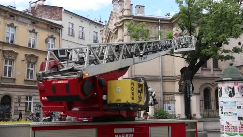 Firemen in protective suits on the ladder dealing with runaway swarm of bees Vidéo 155542968