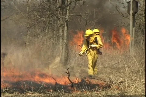 Firemen Spray Forest Fire 1 Stock Footage 297519