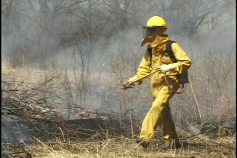 Firemen Spray Forest Fire 3 Stock Footage 297528