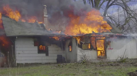 Firemen spray water on tree Stock Footage 61173919
