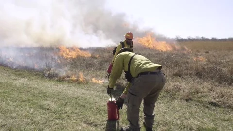 Firemen using driptorches to start prescribed burn of prairie grass Stock Footage 268995611