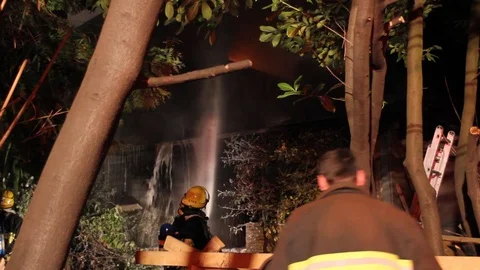 Firemen viewed from the back within trees at night during a house fire Stock Footage 93617264