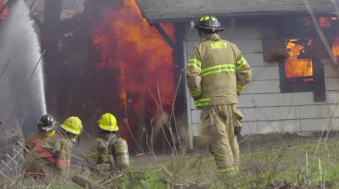 Firemen water down a tree Stock Footage 61179040