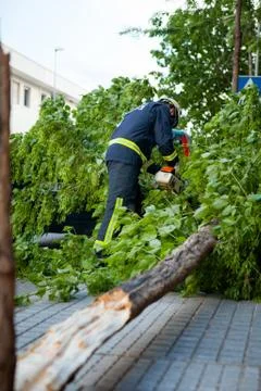 Firemen working after a storm in a broken tree and damage Foto stock