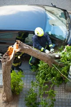Firemen working on a broken tree after a storm in the city Stock Photos
