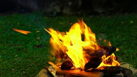 Firepit on a green grass background Stock Footage 69108250