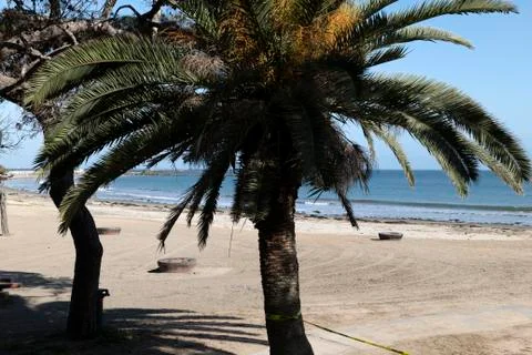 Firepits on a beach Stock Photos