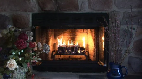 Fireplace and flowers Video stock 98161