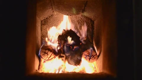 Fireplace with burning wood Stock Footage 245257662