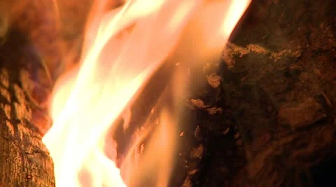 Fireplace, close up burning woodlogs Stock Footage 12762815