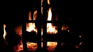 Fireplace fire backdrop Stock Footage 85665616