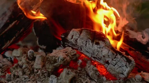 Fireplace Fire Burning Wood Logs and Ash Charcoal Close Up with Real Sound Stock Footage 341682659