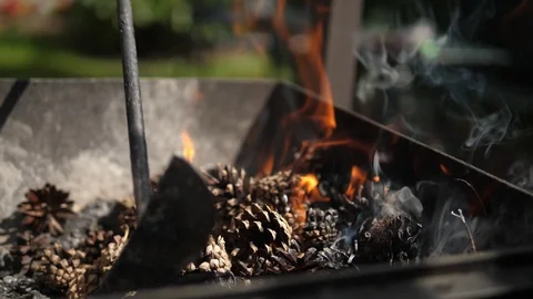 Fireplace Fire Flames Embers Pine Conifer cone. Terrace BBQ slow motion. 스톡 동영상 128450144