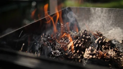 Fireplace Fire Flames Embers Pine Conifer cone. Terrace BBQ slow motion. 스톡 동영상 128450208